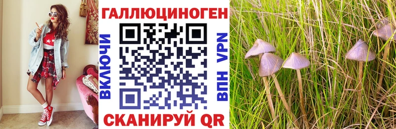 Псилоцибиновые грибы прущие грибы  продажа наркотиков  Мамадыш 